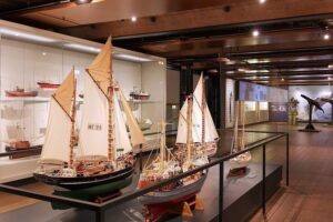 Internationales Maritimes Museum Hamburg - Schiffsmodelle: Detaillierte historische Segelschiffe und Fischereifahrzeuge in einer Vitrine