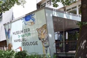 Museum der Natur Hamburg - Zoologie - Außenansicht: Der Eingangsbereich des Museumsgebäudes im Grindelviertel