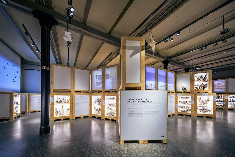 Museum für Naturkunde - Berlin - Ausstellung: Umweltschutz und Artenvielfalt