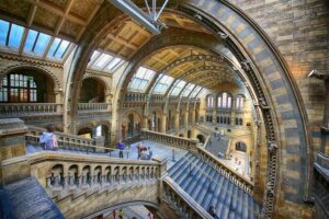 Natural History Museum - London - Innenarchitektur: Kathedralartige Halle mit großen Rundbögen, detailreicher Steinarchitektur und imposanten Treppenaufgängen zu den Ausstellungsebenen