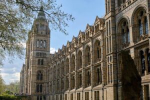 Natural History Museum - London - Waterhouse Gebäude: Die markante Terrakotta-Fassade und die Türme des Museums