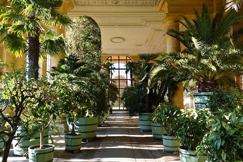 Orangerieschloss im Park Sanssouci - Pflanzenhalle