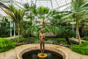 Palmenhaus - Schlosspark Pillnitz - Dresden