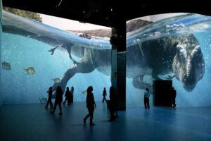 Port des Lumières - Hamburg - Immersive Ausstellung mit lebensgroßen Dinosauriern in einer digitalen Unterwasserwelt